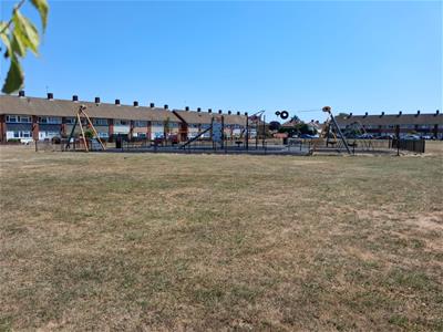 Picture 14